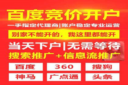 搜索引擎优化（SEM）在移动端的实践案例